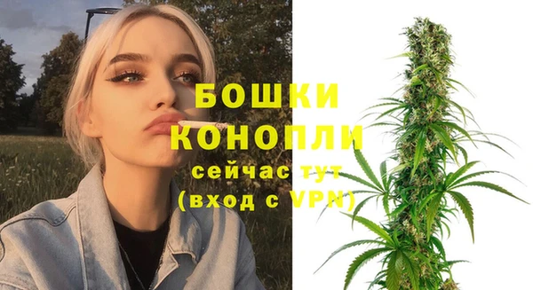 соль курить ск Гусь-Хрустальный